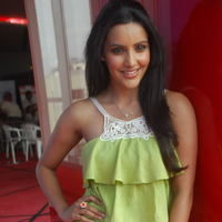 PRIYA ANAND CUTE PHOTOS AT 180 SUCCESS MEET | Picture 43547